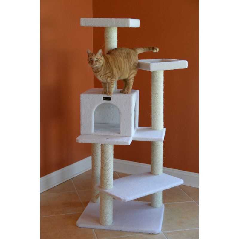 Archie & Oscar 57" Cat Tree & Reviews Wayfair